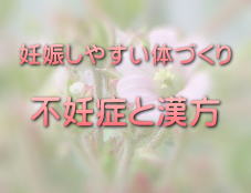 �D�P���₷���̂Â���E�s�D�ǂƊ�����