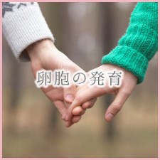funin_pict001
