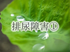 memimi_pict002