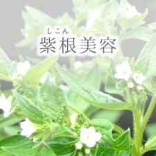 shikon000